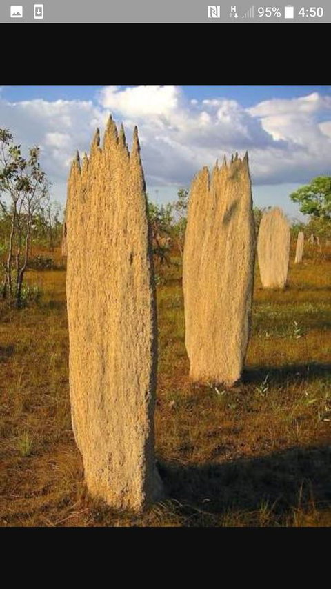 'Tropical Oasis - Darwin NT - Hervey Bay Accommodation 33