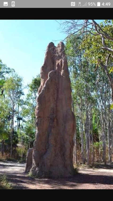 'Tropical Oasis - Darwin NT - Hervey Bay Accommodation 31