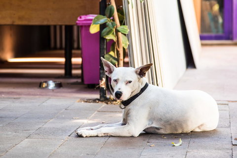 Jump Inn Alice Budget Accommodation - Hervey Bay Accommodation 43