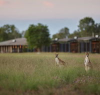 Wildman Wilderness Lodge - Tourism Hervey Bay