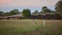 Book Point Stuart Accommodation Vacations Hervey Bay Accommodation Hervey Bay Accommodation