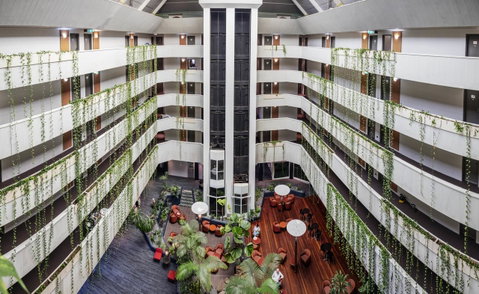 Novotel Darwin CBD - Hervey Bay Accommodation 3