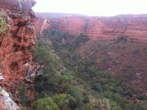 Discovery Resorts - Kings Canyon - Hervey Bay Accommodation 34