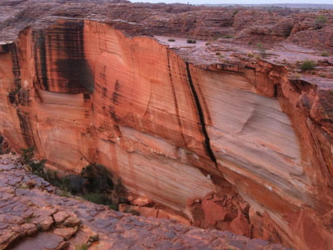 Discovery Resorts - Kings Canyon - Hervey Bay Accommodation 36