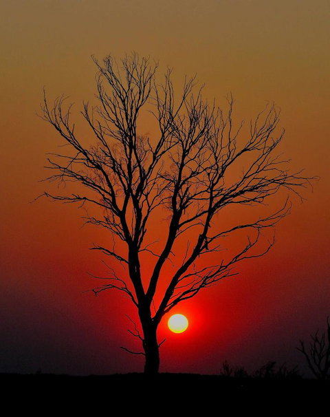 Discovery Resorts - Kings Canyon - Hervey Bay Accommodation 43