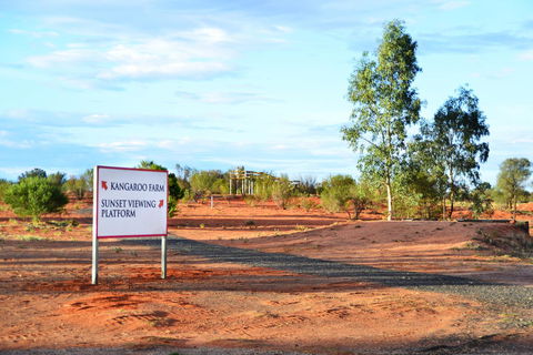Erldunda Desert Oaks Resort - Hervey Bay Accommodation 28