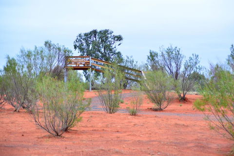 Erldunda Desert Oaks Resort - Hervey Bay Accommodation 42