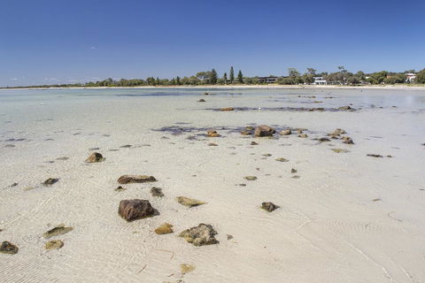Bottlebrush - Hervey Bay Accommodation 2