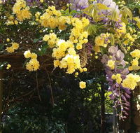 Bowral Road Bed and Breakfast - Hervey Bay Accommodation