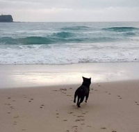 Breakers at Mudjimba Beach - Hervey Bay Accommodation