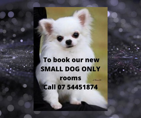 Buderim Fiesta Motel - Hervey Bay Accommodation 0