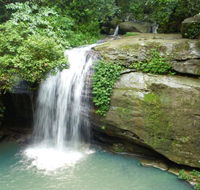Buderim Forest Hideaway - Tourism Hervey Bay