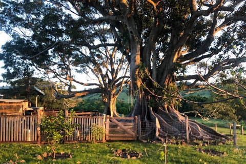 BYRON BAY'S HISTORIC BARNSTAY! - Tourism Hervey Bay 2