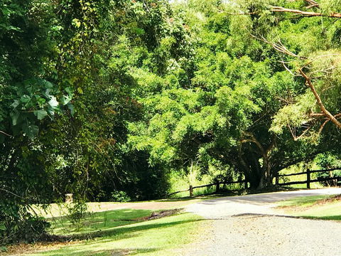 Cadaghi Cottage - Hervey Bay Accommodation 0