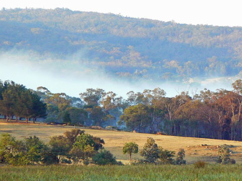 Candlebark Retreat - Tourism Hervey Bay 0