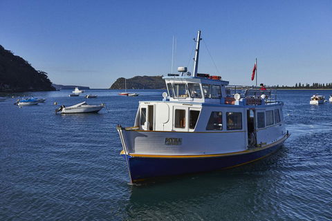 Cape Mackerel Cabin With Magic Palm Beach & Pittwater Views - Tourism Hervey Bay 2