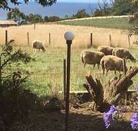 Cape View B and B - Tourism Hervey Bay