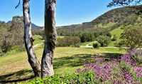 Book Capertee Accommodation Vacations Hervey Bay Accommodation Hervey Bay Accommodation