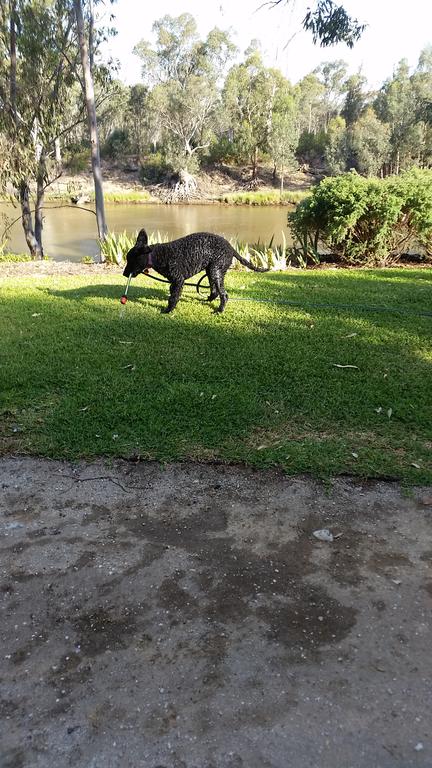 Captain's Cottage Bed & Breakfast - Hervey Bay Accommodation 0