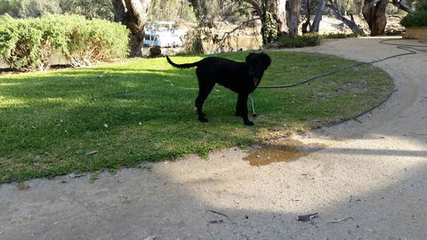 Captain's Cottage Bed & Breakfast - Hervey Bay Accommodation 2