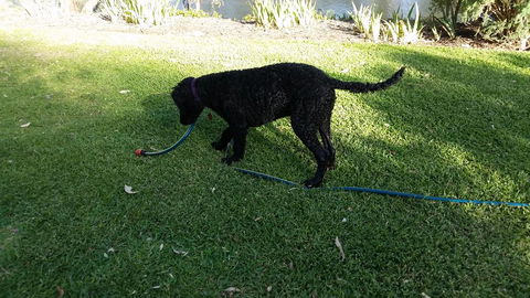 Captain's Cottage Bed & Breakfast - Hervey Bay Accommodation 1