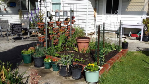 Carisbrook Cottage Queenscliff - Hervey Bay Accommodation 1