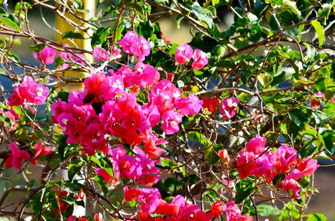 Caves Road Chalets - Hervey Bay Accommodation 1