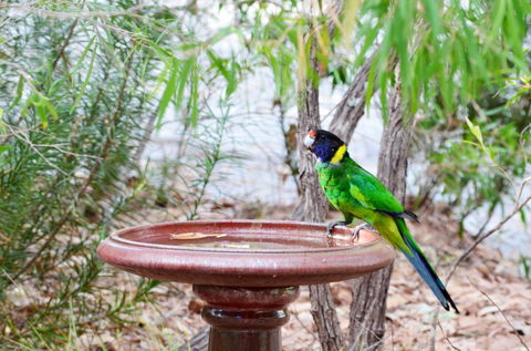 Caves Road Chalets - Hervey Bay Accommodation 0