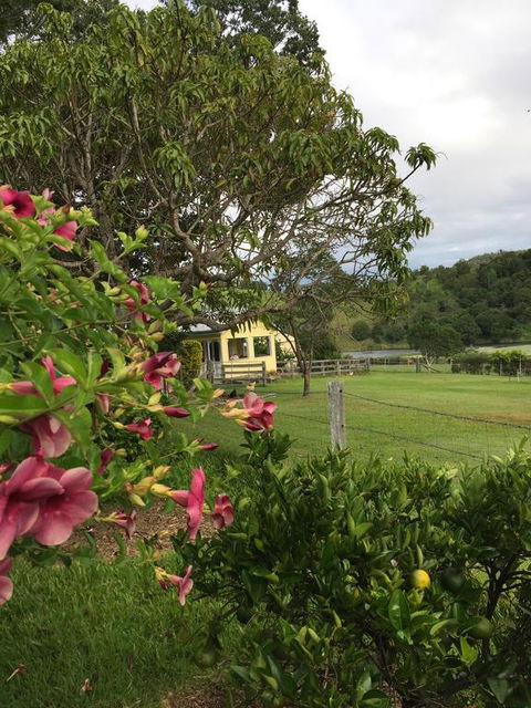 CedarBrae Country Stay - Hervey Bay Accommodation 2