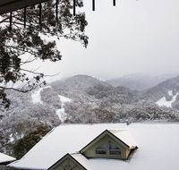 Celesia 2 - Tourism Hervey Bay