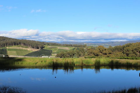 Cherryview Cygnet - Hervey Bay Accommodation 1