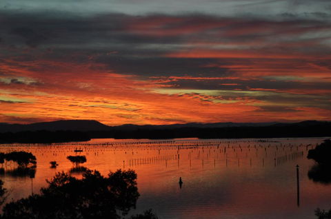 CHILL-OUT LAKESIDE @ FORSTER - Tourism Hervey Bay 3