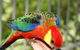 Cinnamon Coloureds Farm Cottages - thumb 3