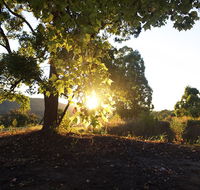 Clarendon Forest Retreat - Hervey Bay Accommodation