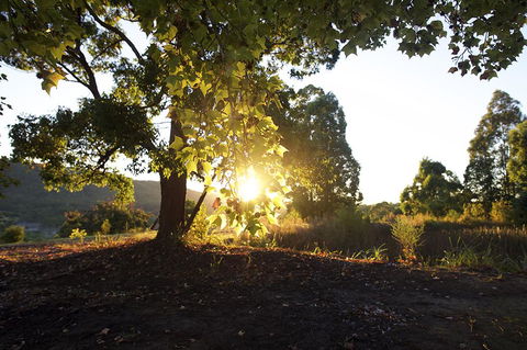 Clarendon Forest Retreat - Hervey Bay Accommodation 0