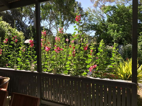 Clarevale Cottage B&B - Tourism Hervey Bay 1