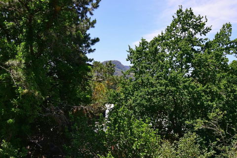 Cloudsong Chalet 4 - Close To The Village Centre! - Tourism Hervey Bay 3