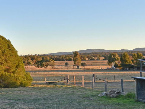 Clydesdale Cottage On Talga With Real Clydesdale Horses - Hervey Bay Accommodation 1