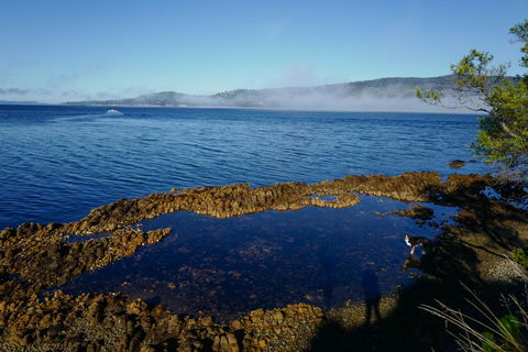 Coast House Tasmania - Hervey Bay Accommodation 2
