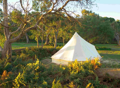 Coonawarra Bush Holiday Park - Tourism Hervey Bay 0