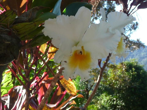Coral Sea Views - Hervey Bay Accommodation 2