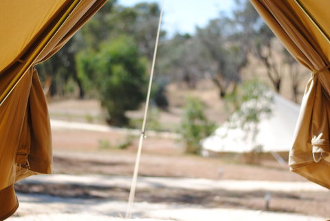 Cosy Tents - Daylesford - Hervey Bay Accommodation 1
