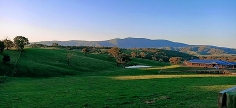 Country Budget - Hervey Bay Accommodation 1