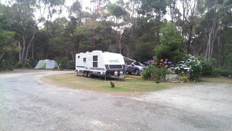 Crayfish Creek Van & Cabin Park - Hervey Bay Accommodation 0