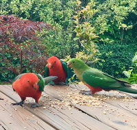 Crimson Villa - Tourism Hervey Bay