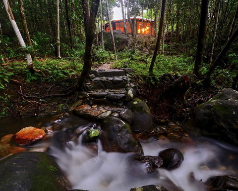 Daintree Cascades - Hervey Bay Accommodation 0