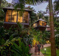 Daintree Ecolodge - Hervey Bay Accommodation
