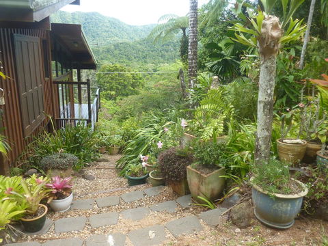Daintree Holiday Homes - The Folly - Hervey Bay Accommodation 0