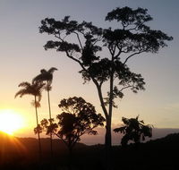 Daintree Holiday Homes - Yurara - Tourism Hervey Bay