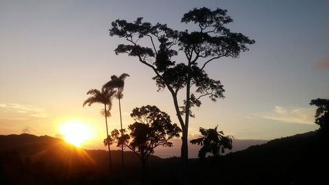 Daintree Holiday Homes - Yurara - Tourism Hervey Bay 0